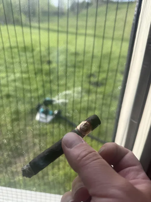 Nice little post lawn work stick