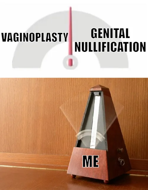 On one hand, I kinda want a pussy so I can know how it feels to get penetrated by a guy. On the other hand, I love the idea of having no genitals and that would be part of my ideal aesthetic.