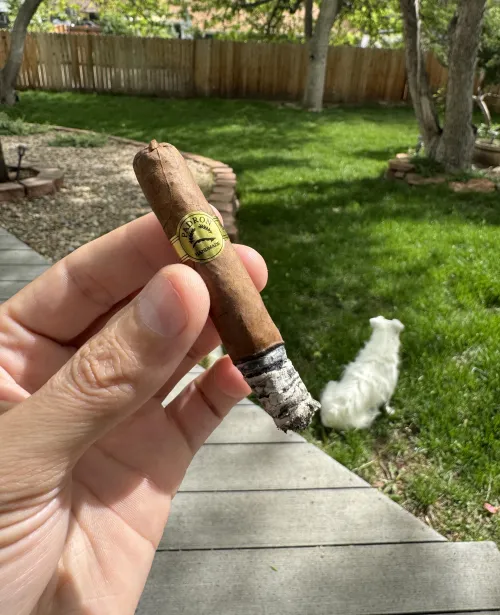 Padron Corticos Natural — A Surprising Midweek Gem