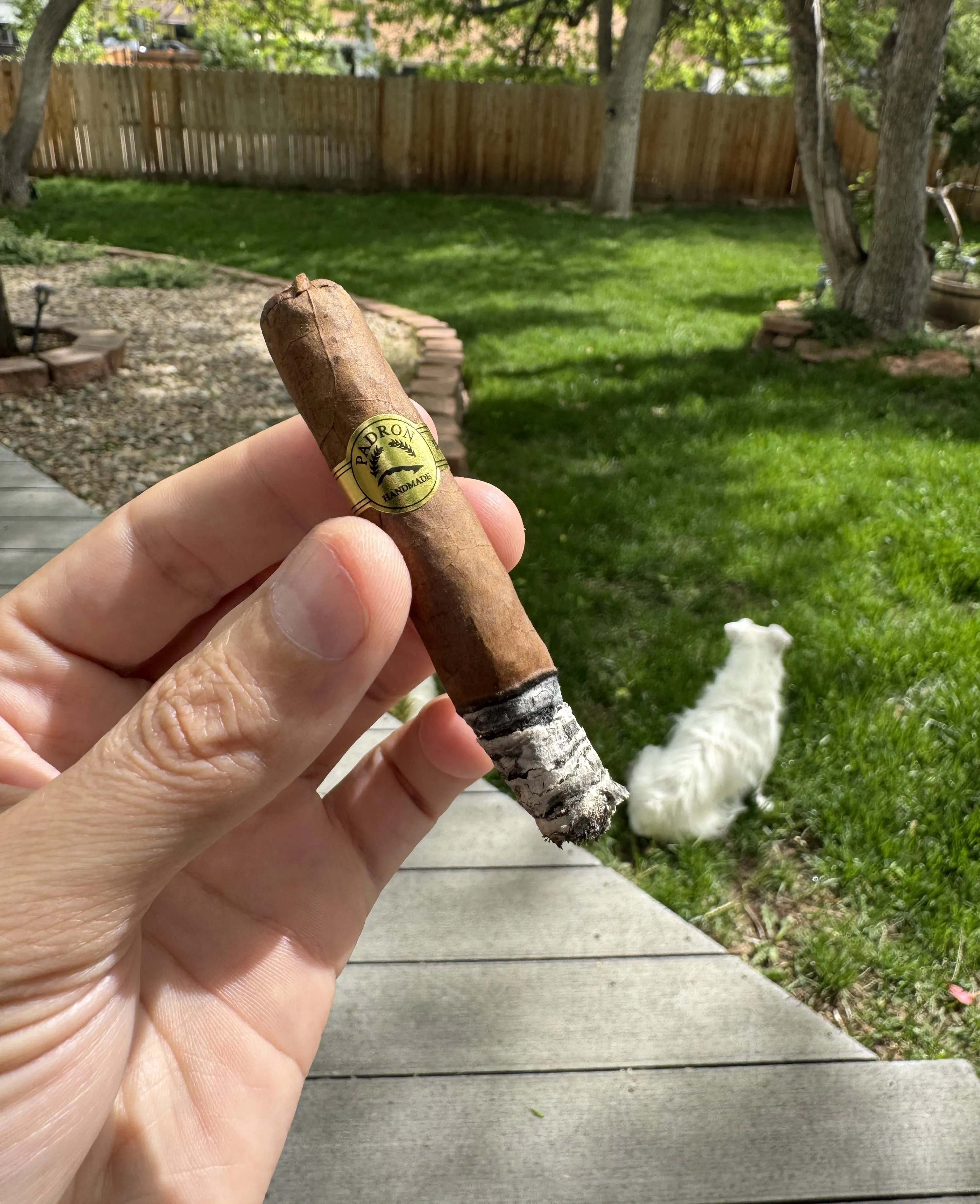 Padron Corticos Natural — A Surprising Midweek Gem