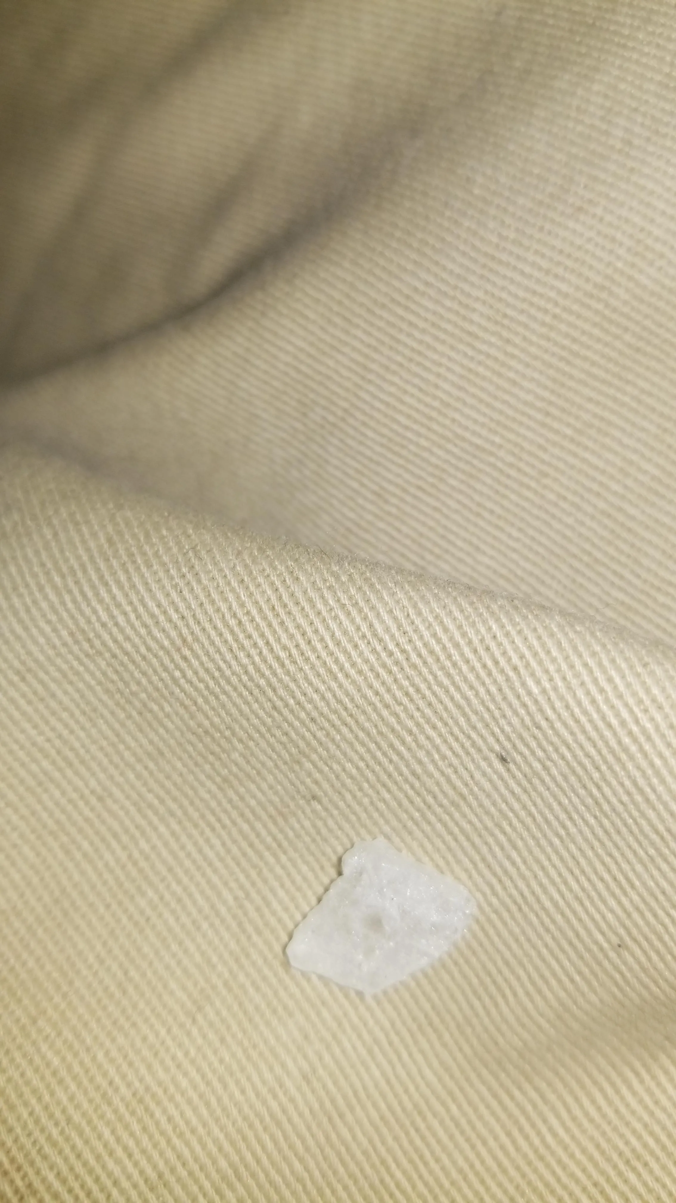 Spun fun ladies needed Ncal