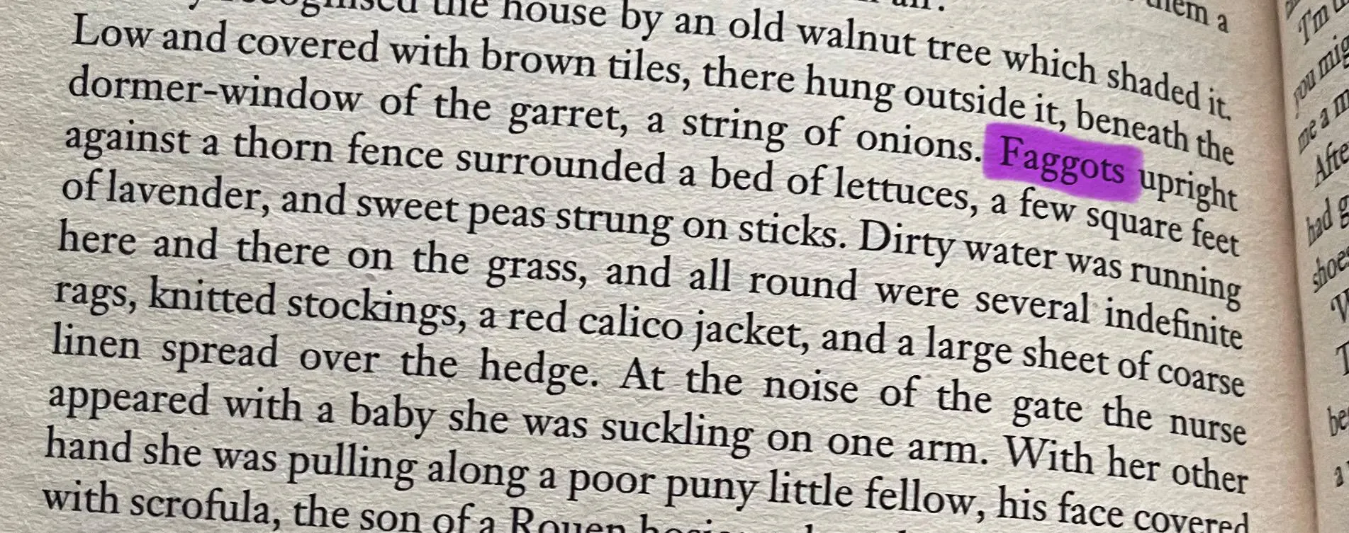 TW: HOMOPHOBIC SLUTS IN MADAME BOVARY!! I'm shaking right now. Flaubert must be held accountable, this is LITERALLY a hate crime. He is so cancelled.