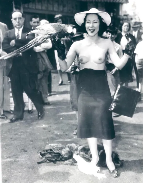 Yvette Dare was a 1940s burlesque dancer who famously used a trained parrot as part of her act. The parrot would help disrobe Dare during her performances, a unique and memorable part of her act.