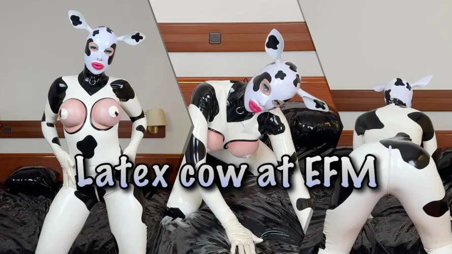 Latex cow