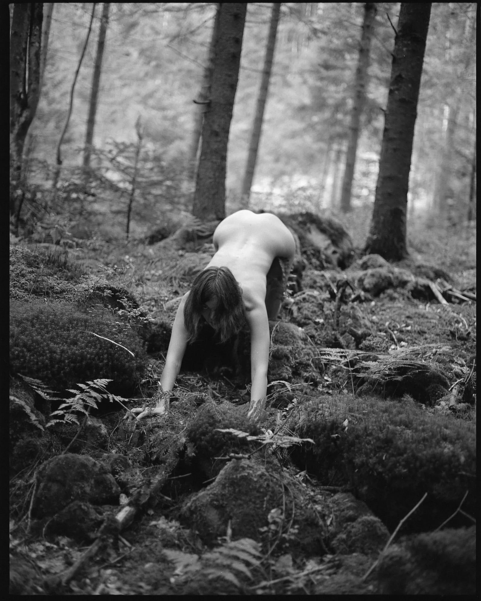 Margarita in the Carpathians