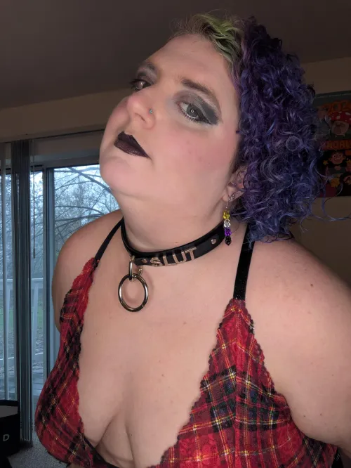 Do you like my collar?