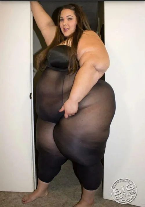 Looks like night time Fune is starting