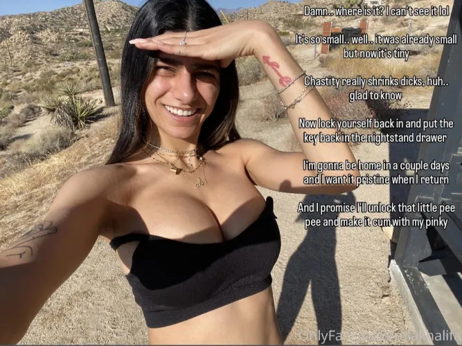 Your Mistress on vacation and asked for a pic of your tint dick (captionsforever on imagefap)