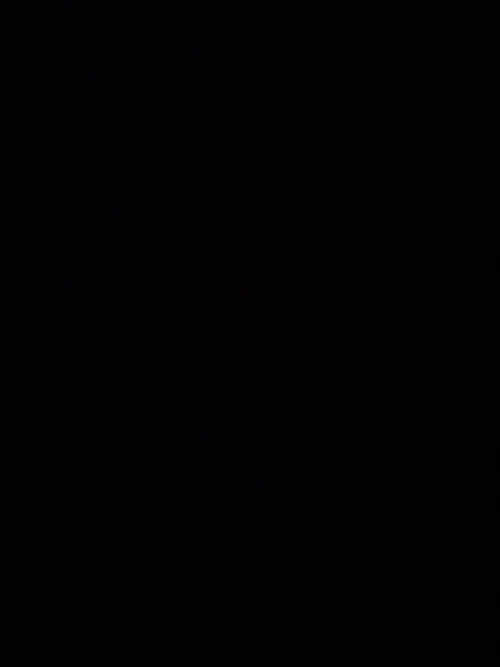 24m looking for trans women 931