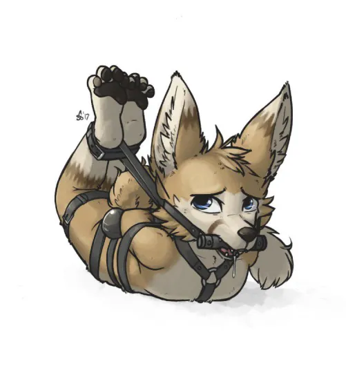 Feral puppy tied up in dog park, pls help :((