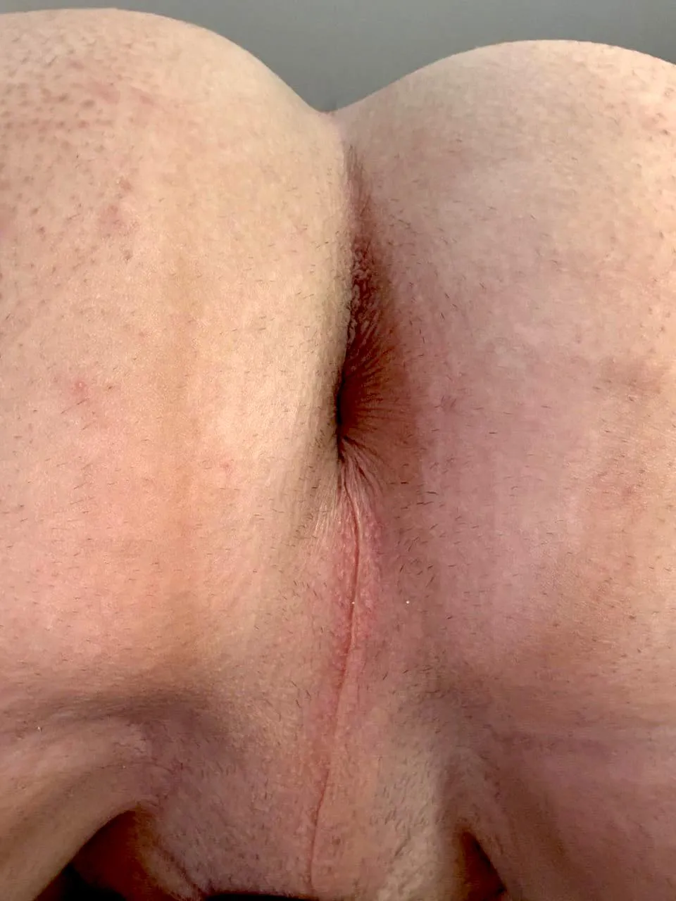 How many females would eat my ass?