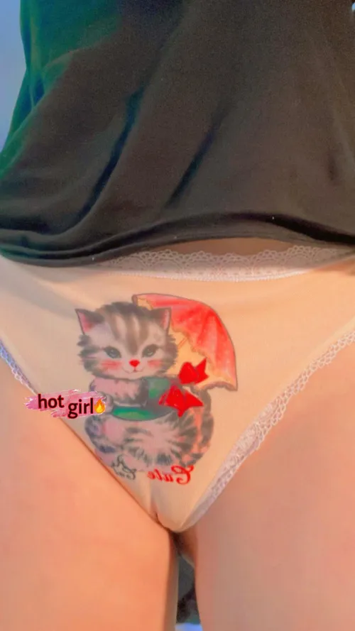 I lovbe thesee kitty panties