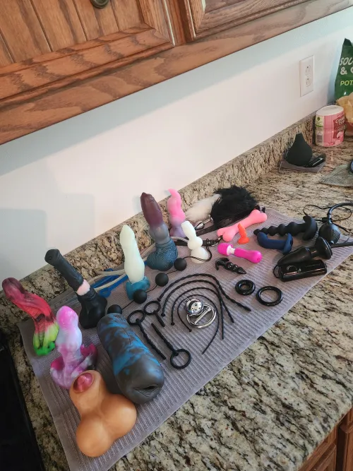 Just moved and having trouble deciding what to use first... Wanna help me decide?~