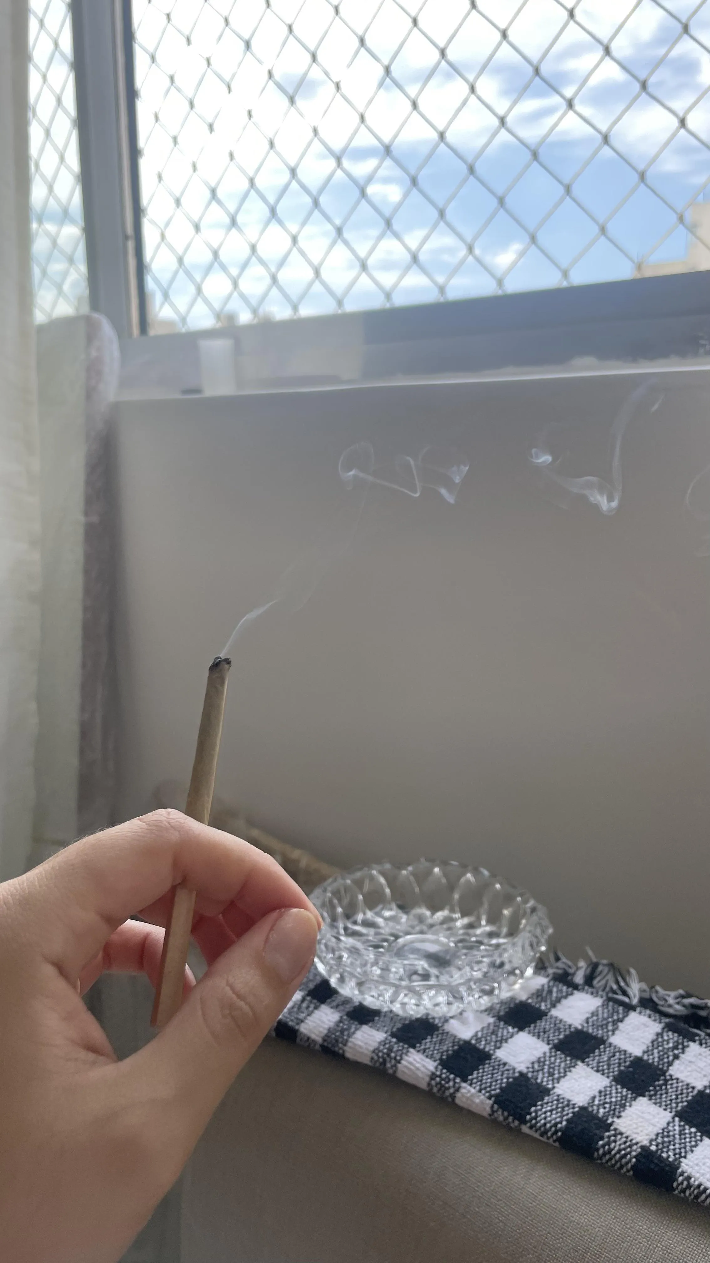 primeira brisa morando só