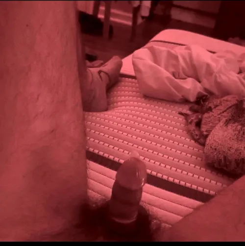 Condom on and ready to go