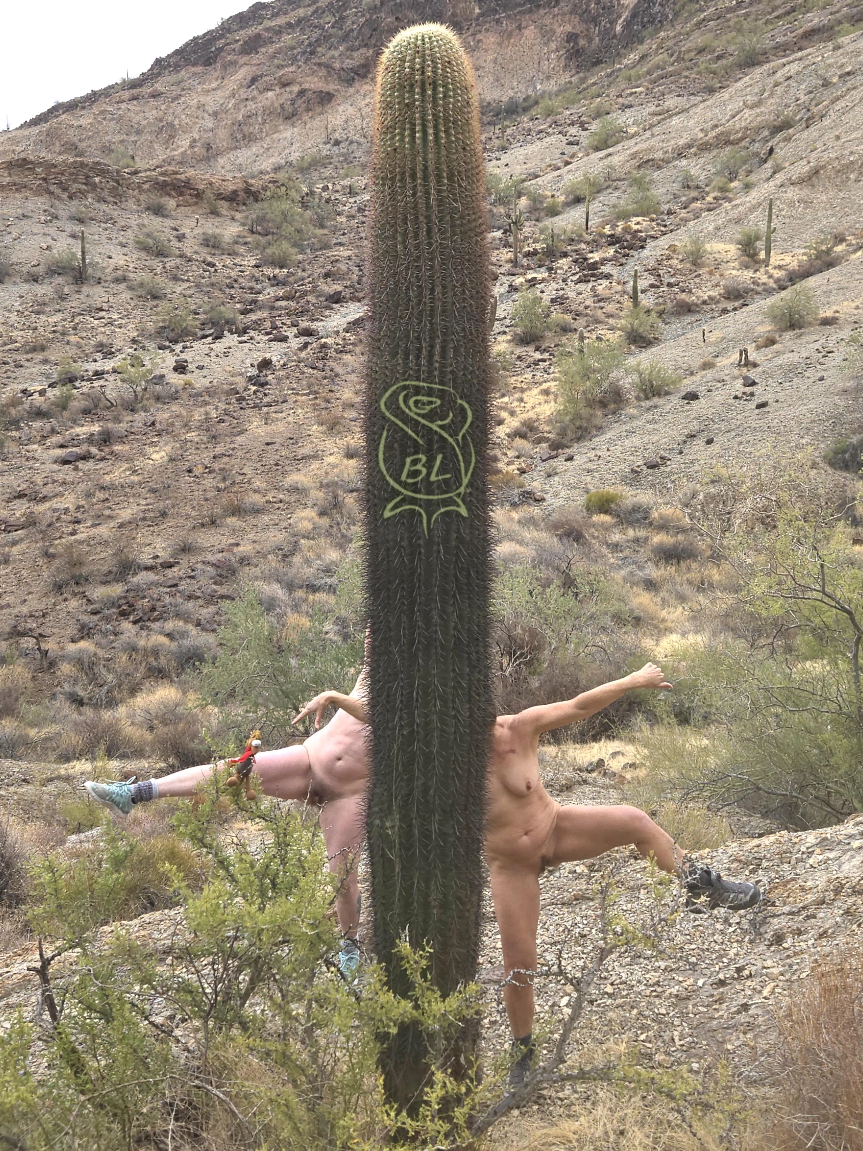 Succulent & Silly 🌵