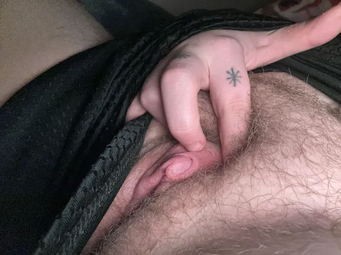 (T) would like a suck