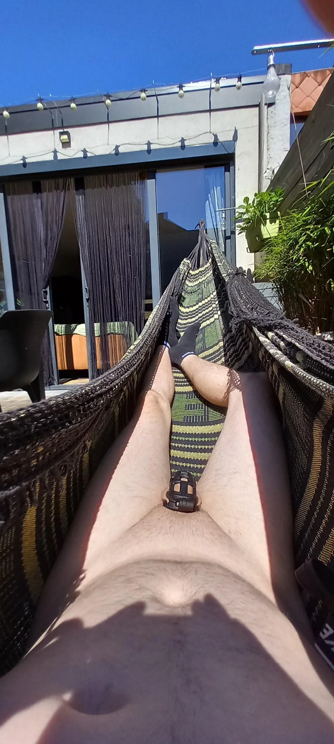 Cage check in the garden