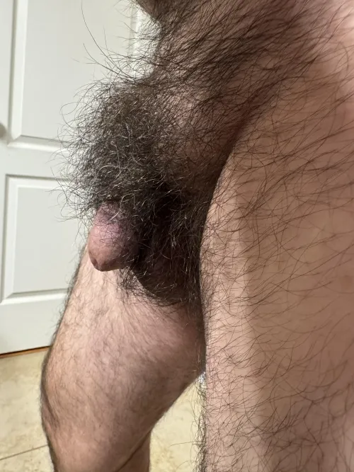 Natural. Feeling bushy.