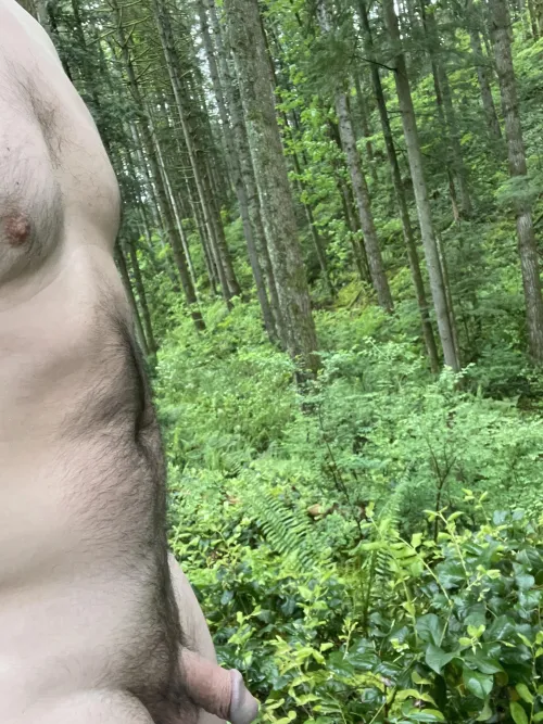 Trail run after a light rain