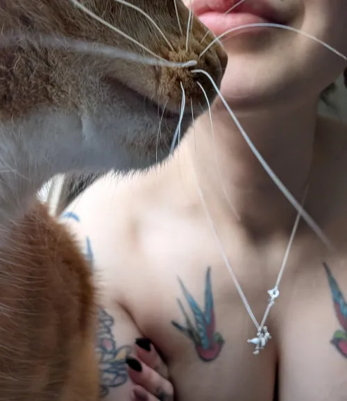 He's the true star ✨