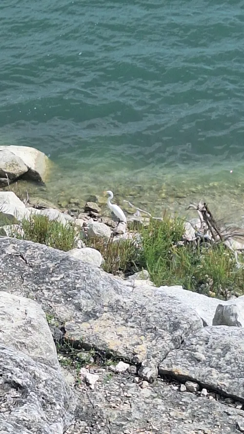 Little buddy back today 😆