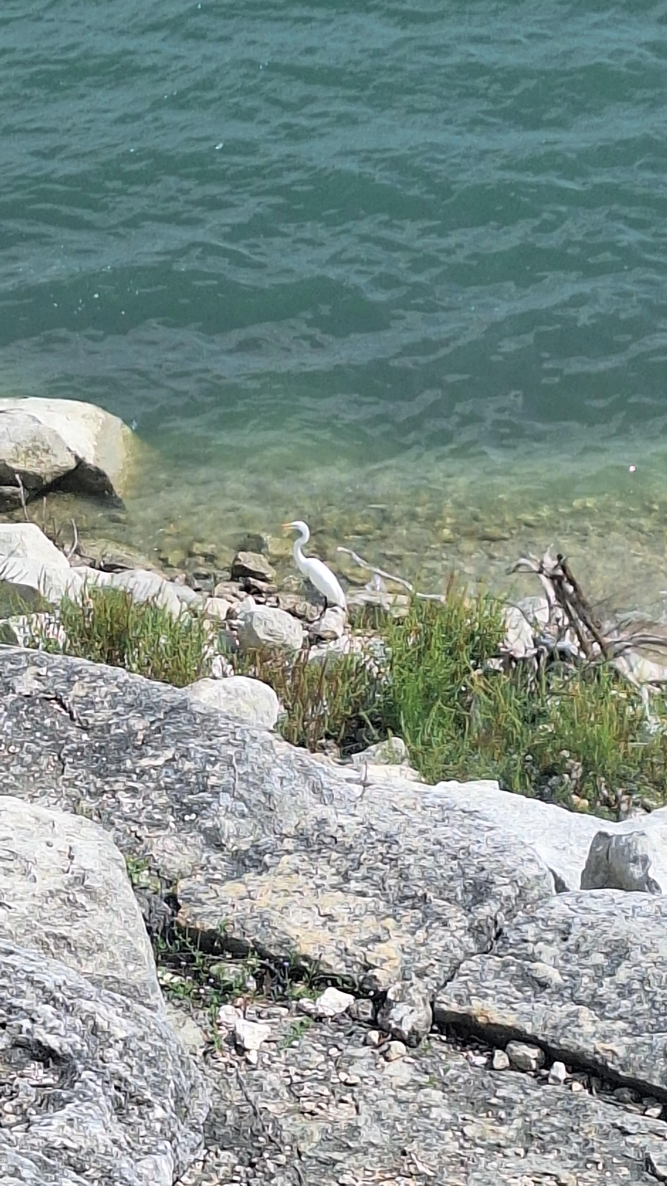 Little buddy back today 😆