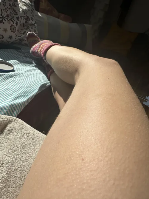 First time posting my goosebumps in here. Tell me what you think, please!