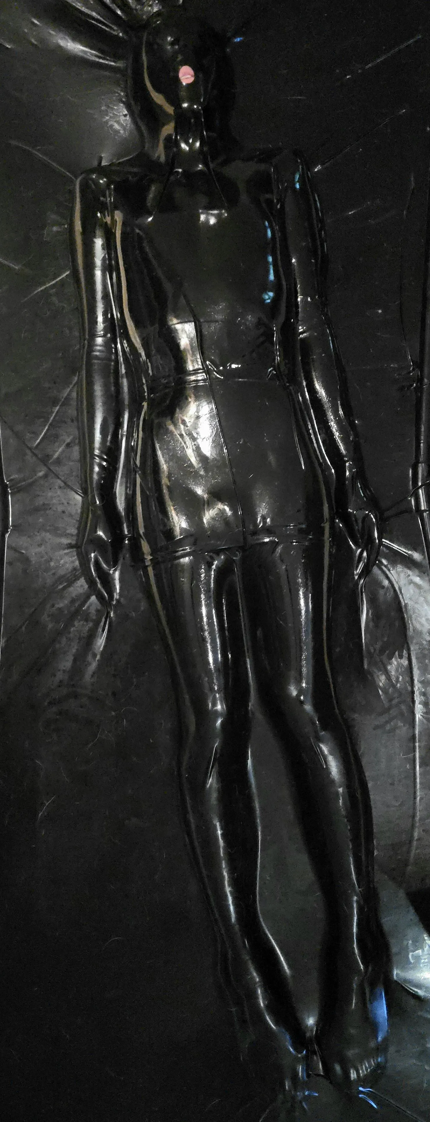 A lovely creature got trapped in my bed for a while.