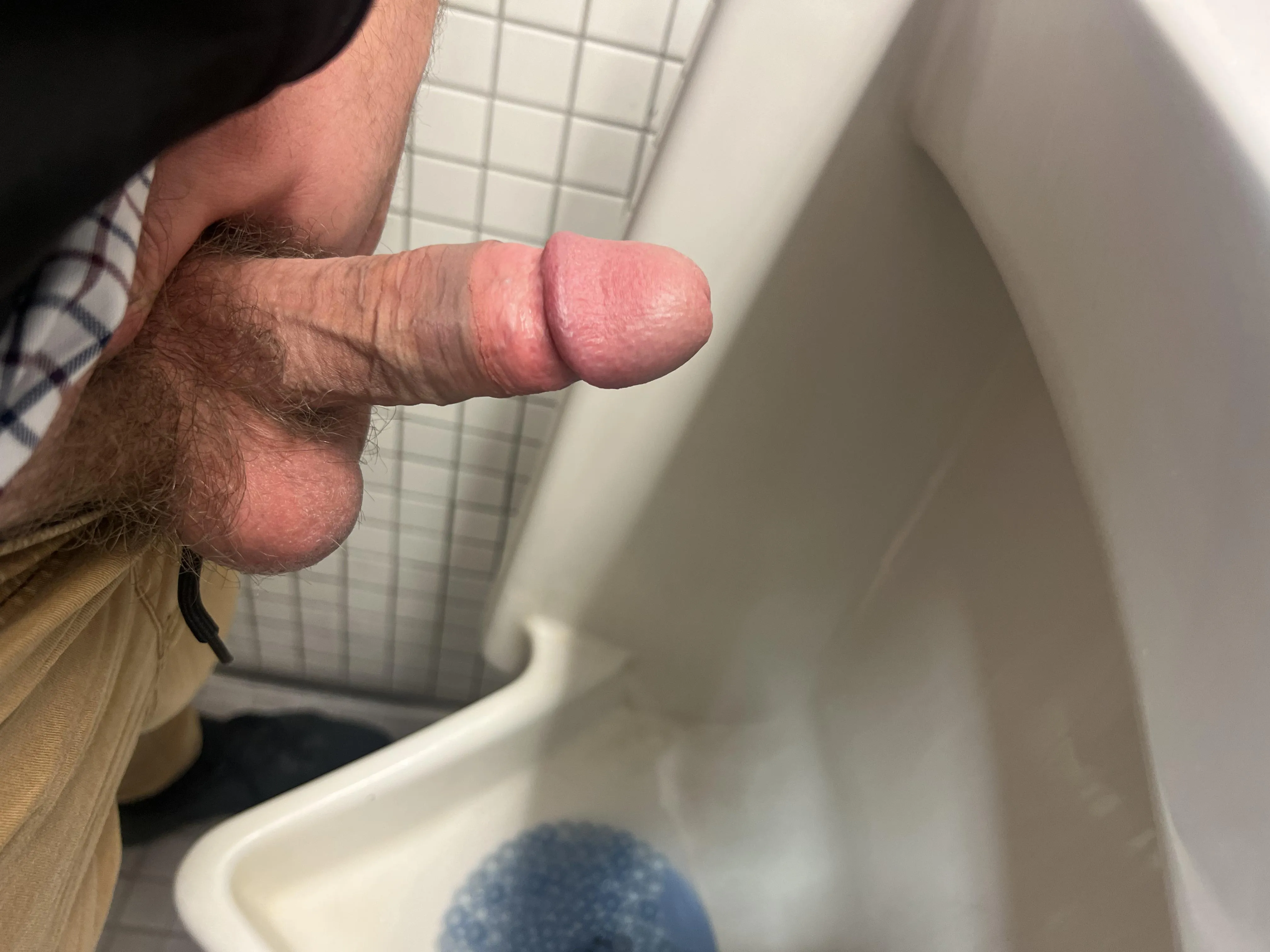 Avg cock and dad bod.