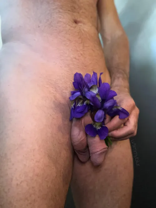 It’s been a very busy day, but I still found time to pic some flowers for you…