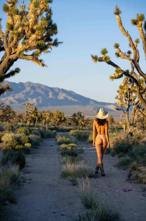 Morning hike in the mountains