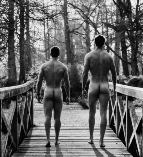 Morning walk in the park