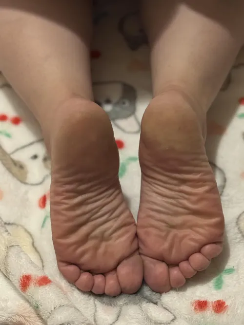 Who is ready for afternoon lunch?