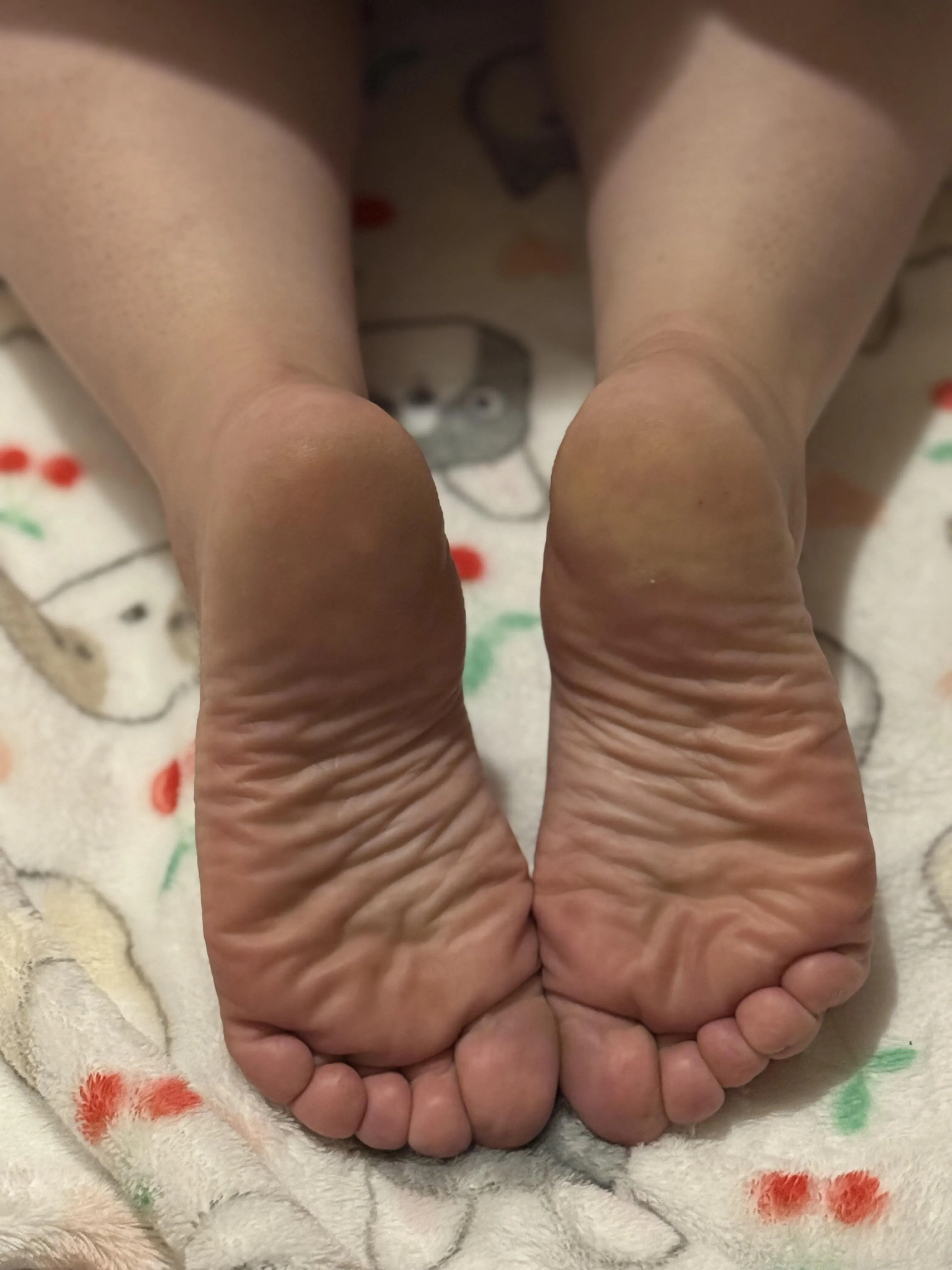 Who is ready for afternoon lunch?