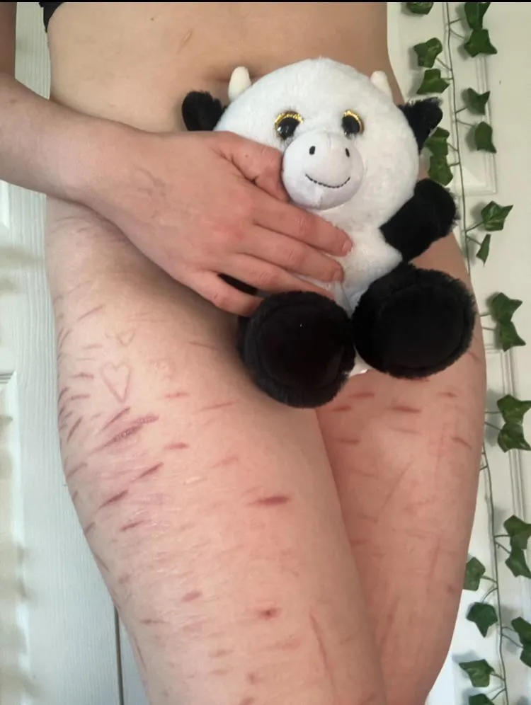 I won this little guy at an arcade :3