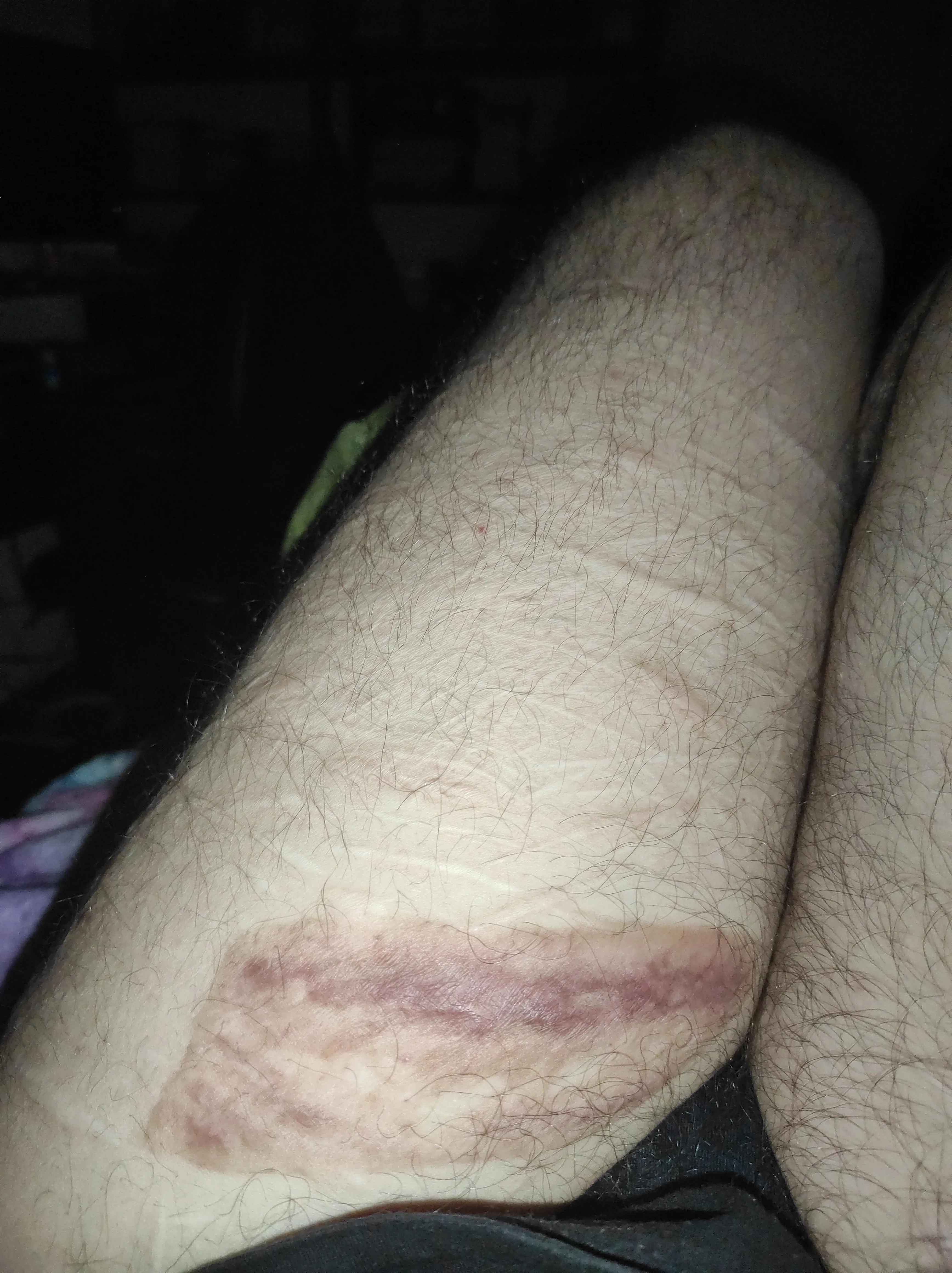 Not as wild... Yet...