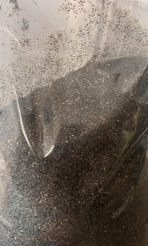 Not new quality, not old quality