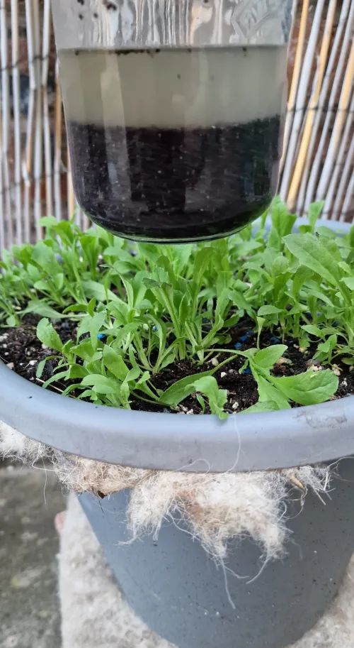 The devastation when the packet says Czech Republic