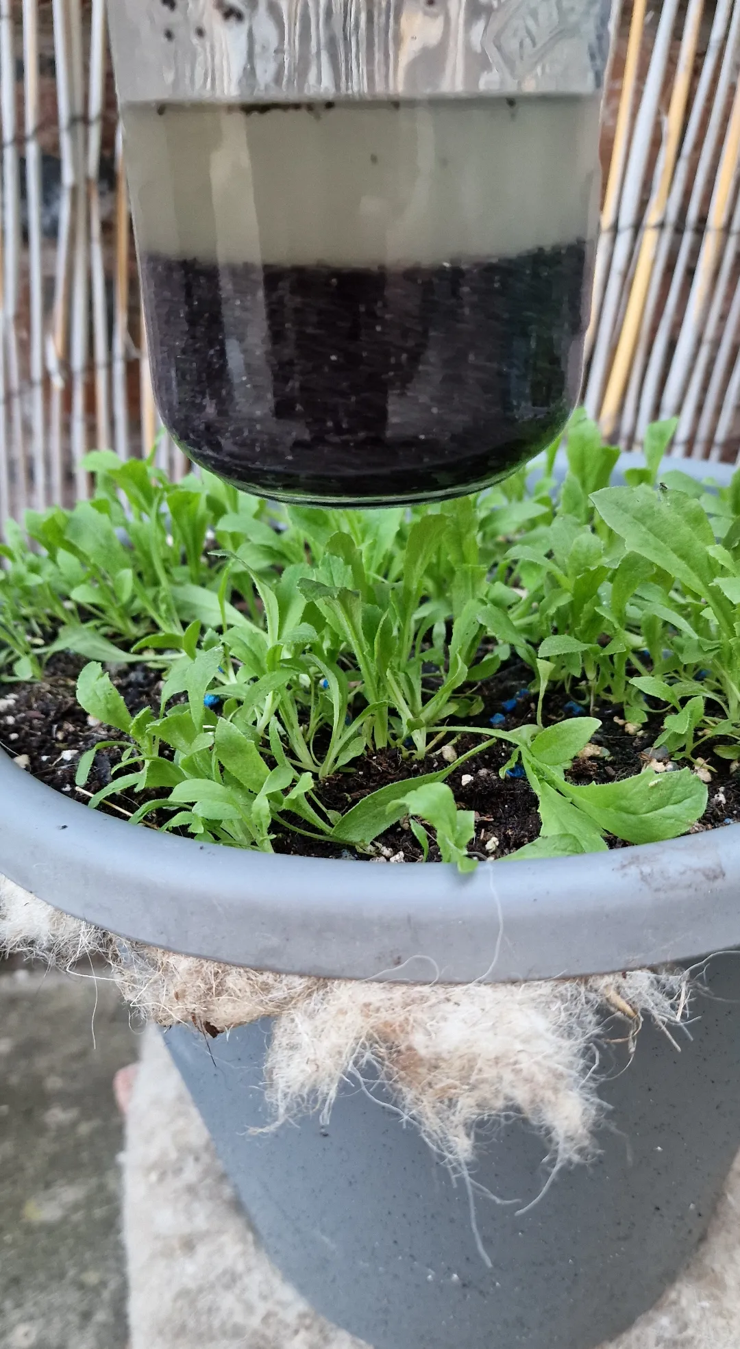 The devastation when the packet says Czech Republic