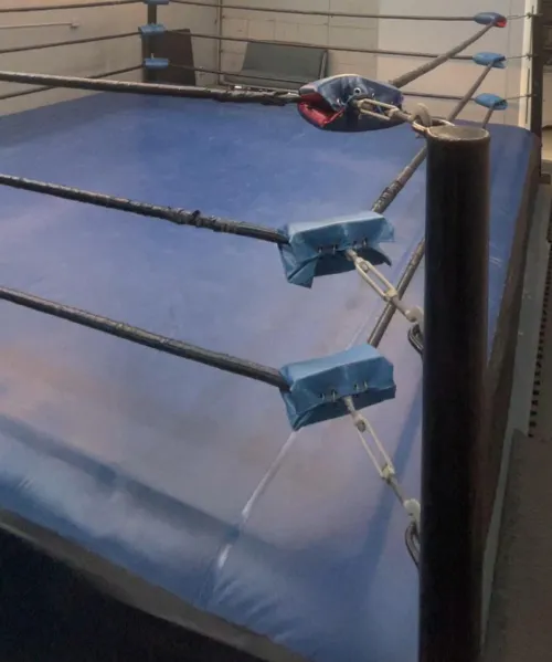 What would you pay to rent a ring and wrestle your bro to exhaustion?