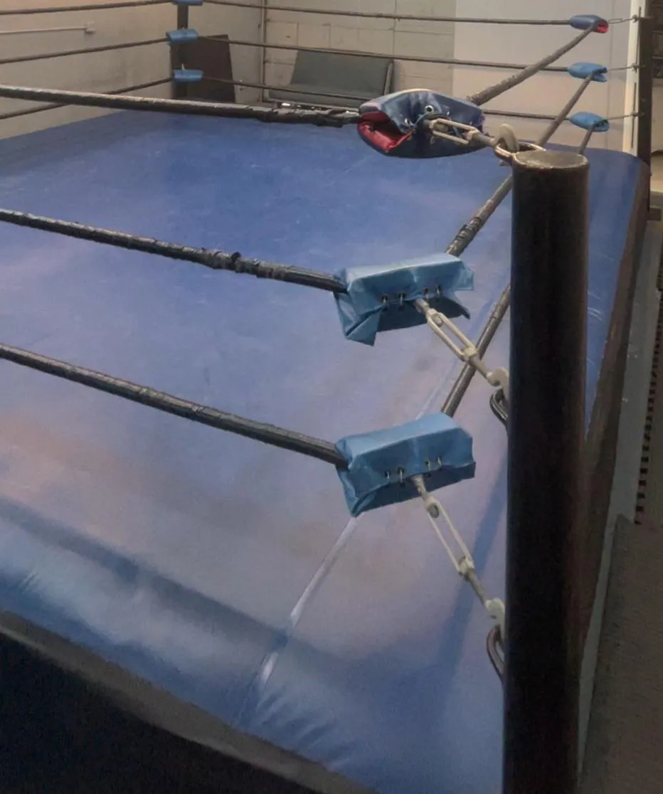 What would you pay to rent a ring and wrestle your bro to exhaustion?