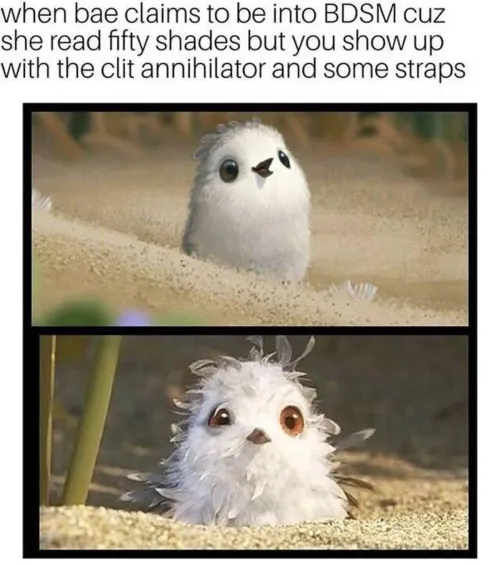 Buckle up babygirl 😂