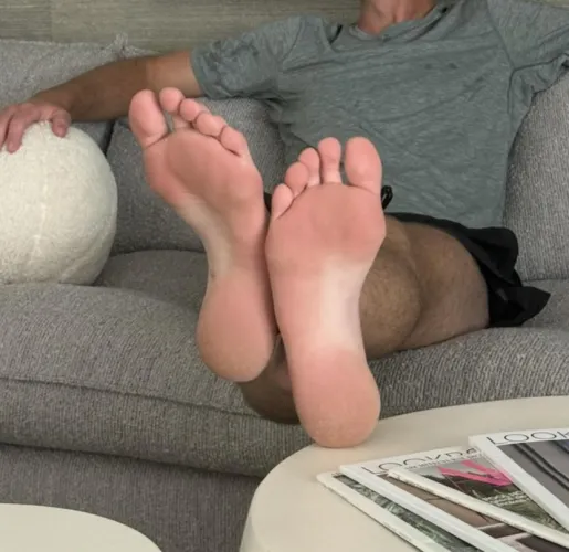 High arches for your consideration