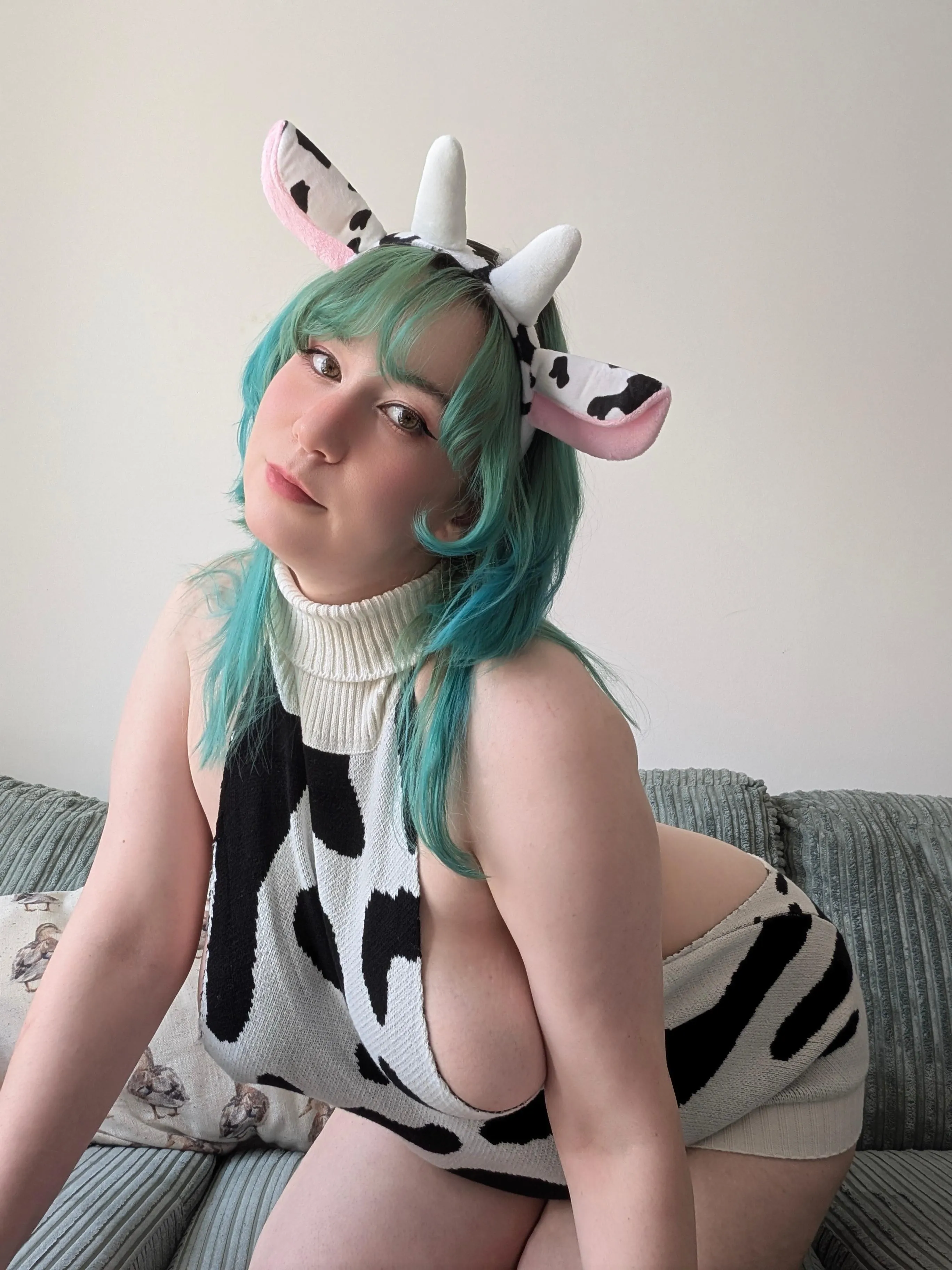 It's breeding season, where's my bull?