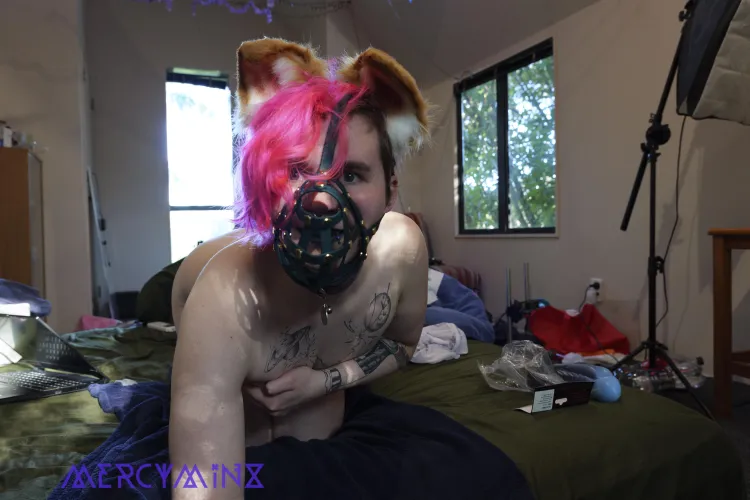 [OC] Arf Arf~ guess who's been biting