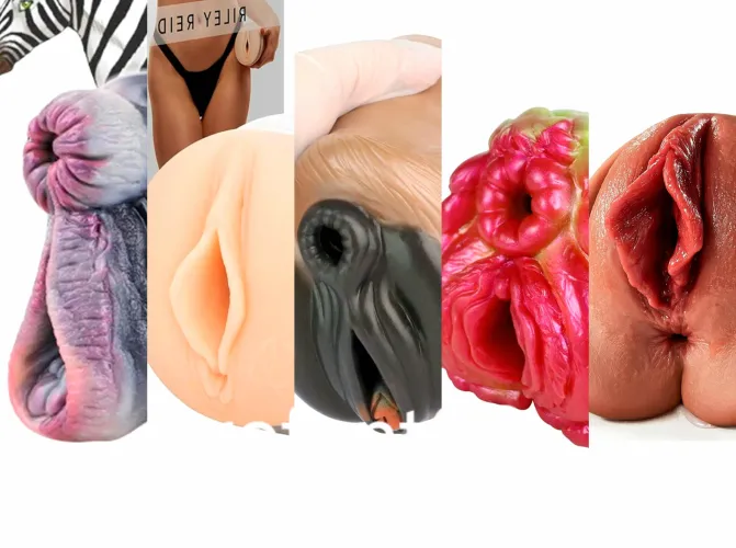 I ordered new ones. Which should I try first: 1, 2, 3, 4, or 5?