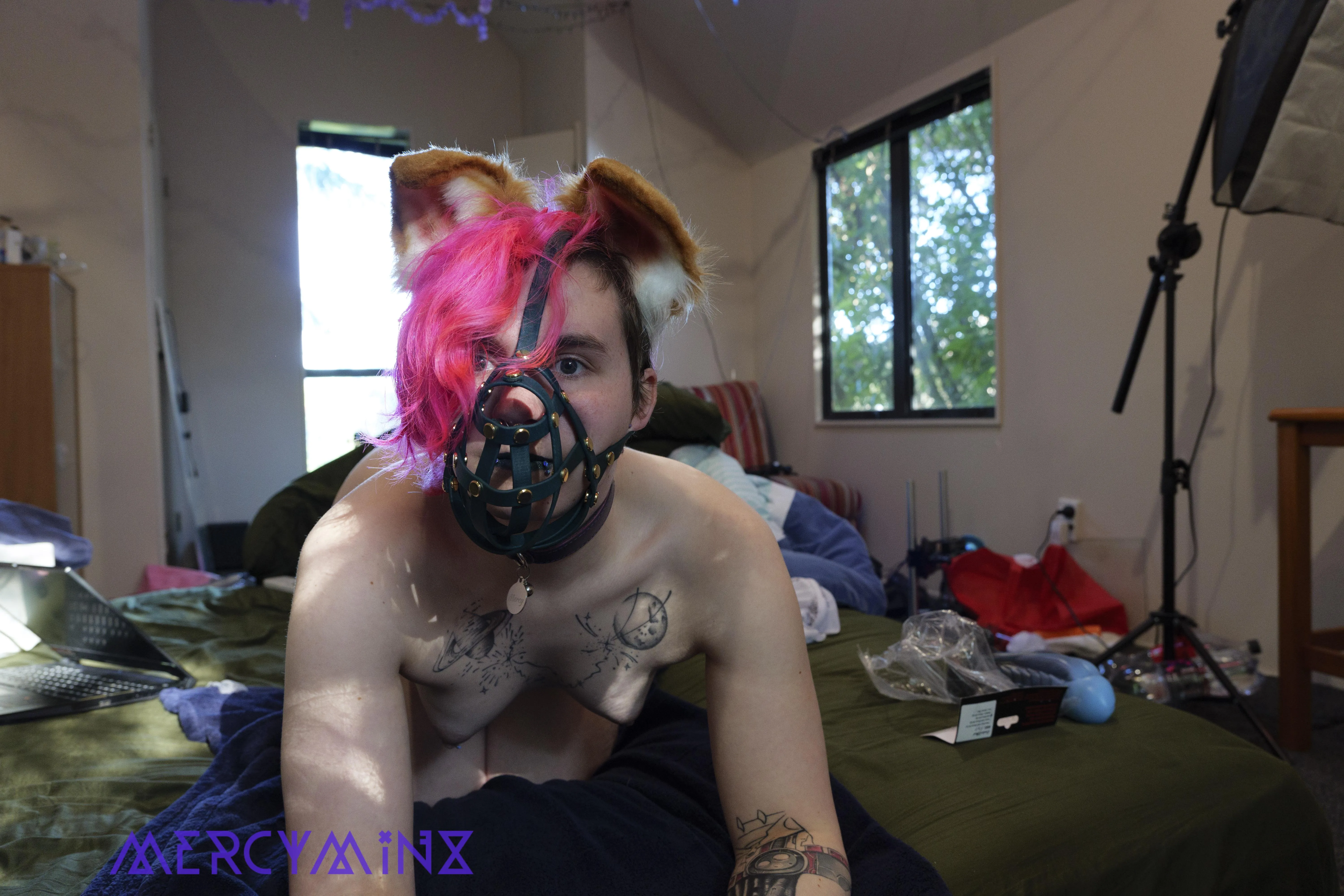 Im ready to become your home dog