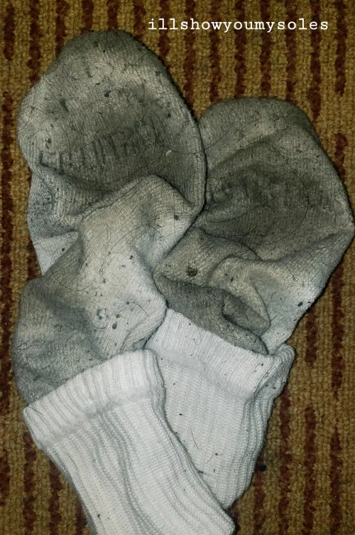 These [f]ucking reek