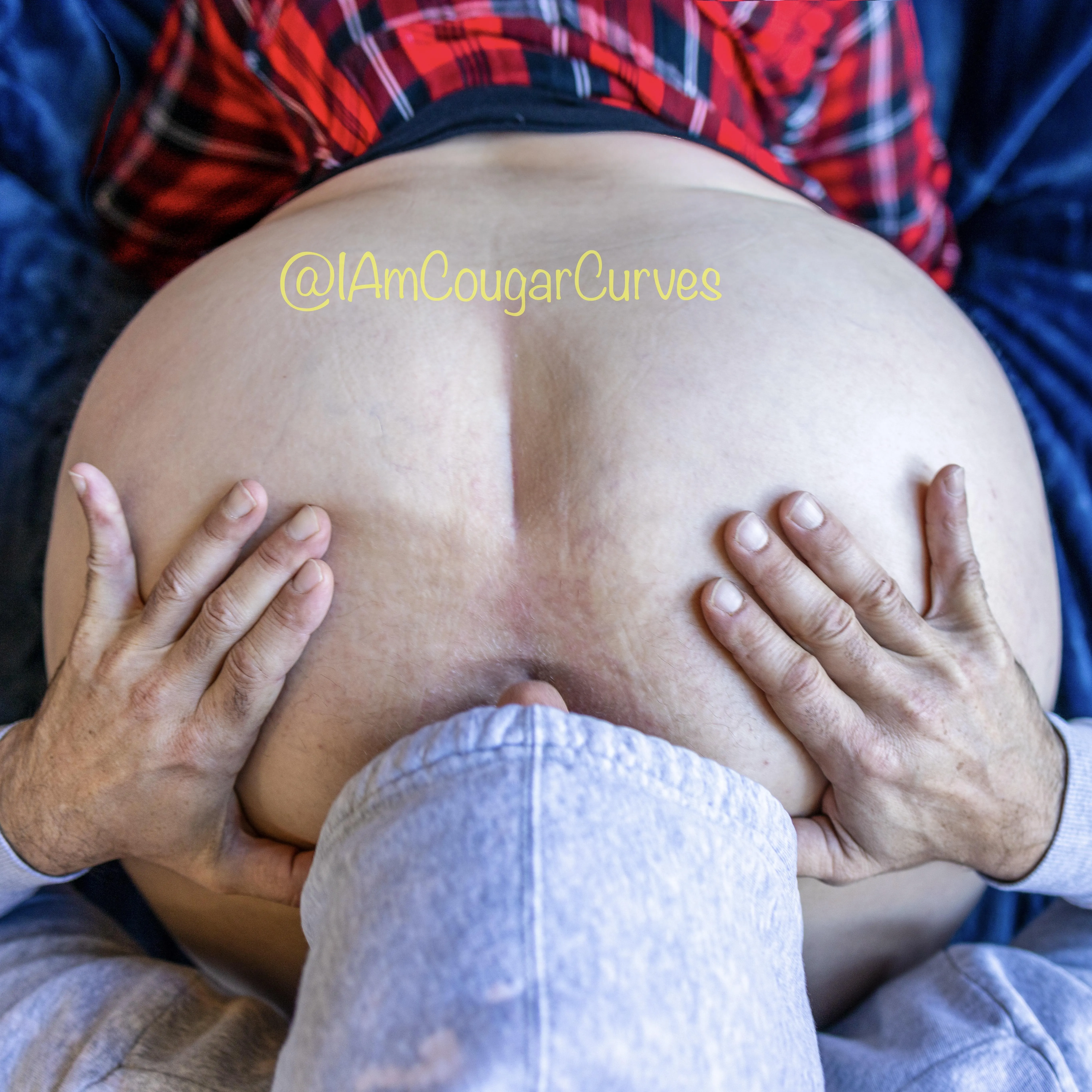 Have you ever eaten a wild cougar? Would you like to try?